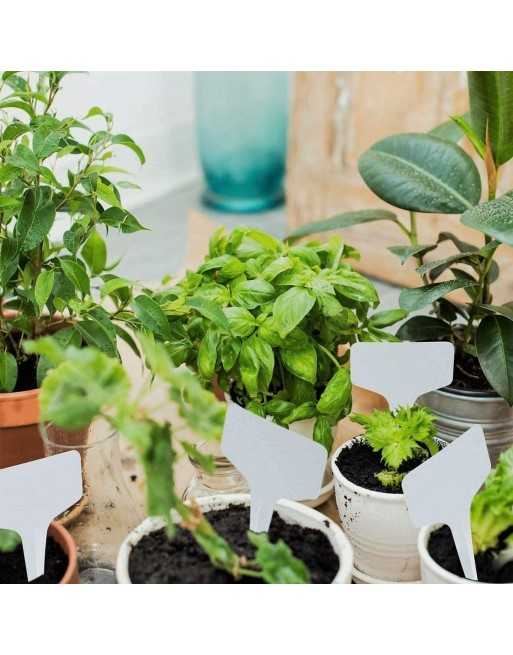 INTELLIGROW Plant T-Markers, Plastic, 100 Pack, 4" x 2.5" - [ Garden Seeds, Seed2Go.ca] - IT-MARKERS - Seed Starters