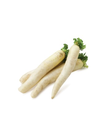 Asian Daikon Radish, White Radish, Japanese Radish, Chinese Radish, Winter Radish, Luobo Seeds - [ Seed2Go.ca ] - [Seed Packets]