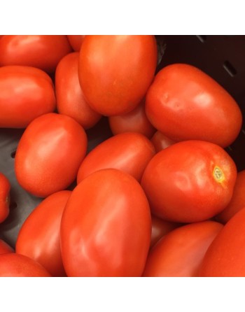 Roma VF Tomato, Italian Plum Tomatoes, Canning Tomato Seeds - [ Seed2Go.ca ] - [Seed Packets] - Tomato Seeds - 