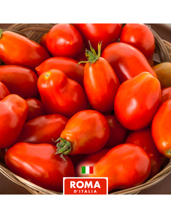 Roma VF Tomato, Italian Plum Tomatoes, Canning Tomato Seeds - [ Seed2Go.ca ] - [Seed Packets] - Tomato Seeds - 
