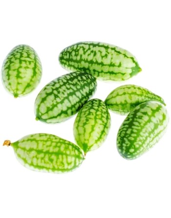 Sandia De Raton Sour Gherkin Cucumber, Mouse Melon, South American - [ Seed2Go.ca ] - [Seed Packets] - Cucumber - 