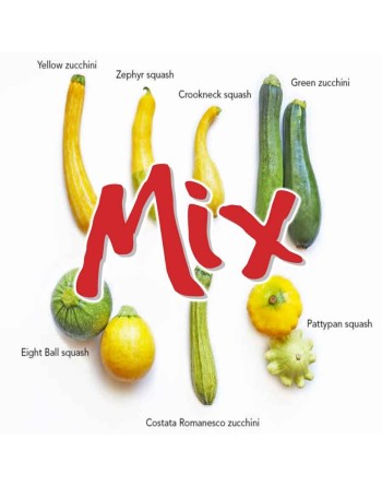 Squash/Zucchini Mix Seeds, Round, Yellow, Baby Grey, Dark Grey, Bishop - [ Shop Canadian Seeds Online ]  - Zucchini - 