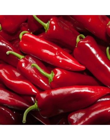 Stocky Red Italian Rooster Pepper, Pepper Seeds - [ Shop Canadian Seeds Online ]  - Pepper Seeds - 