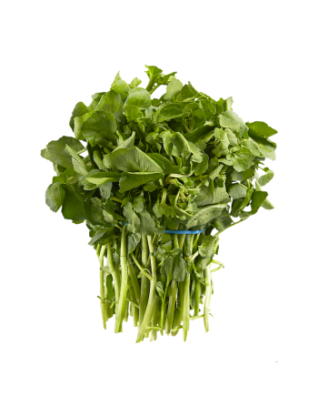 True Aqua Watercress Spice, Large Leaf Variety, Watercress Seeds - [ Seed2Go.ca ] - [Seed Packets] - Herb Seeds - 