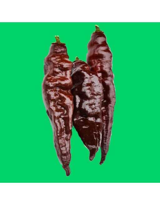Black/Chocolate Naga Jolokia Chocolate Black Ghost Pepper, Bhut Jolokia Ghost Pepper,  Pepper Seeds - [ Shop Canadian Seeds Onli
