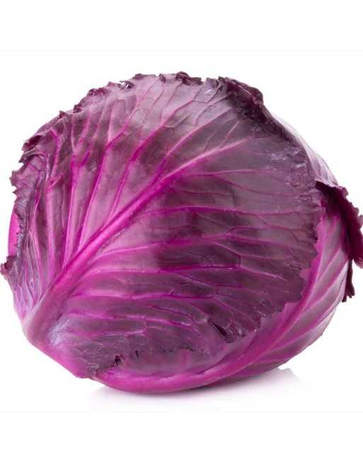Red Acre Cabbage - [ Shop Canadian Seeds Online ]  - Cabbage - 