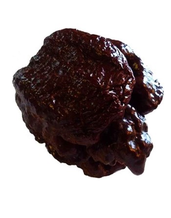 Scorpion Trinidad Chocolate Moruga, Trinidad & Tobago  Pepper Seeds - [ Shop Canadian Seeds Online ]  - Pepper Seeds - 