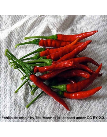 Chile de Arbol, Mexican Pepper Seeds, Birds Beak, Rat's Tail, Tree Chili - [ Shop Canadian Seeds Online ]  - Pepper Seeds - 