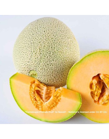 Muskmelon, Hales Best Jumbo Melon, Cantaloupe Seeds - [ Shop Canadian Seeds Online ]  - Melon - 