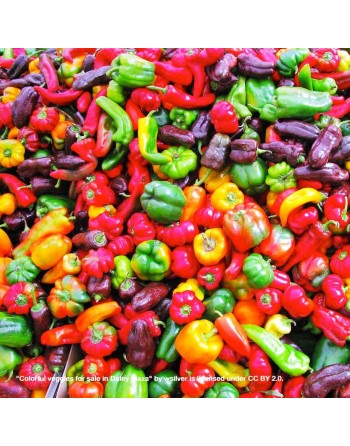 Mild To Hot Pepper Mix, Anaheim, Poblano, Santa Fe, Cayenne, Jalepeno, Serrano, Tabasco Pepper Seeds - [ Shop Canadian Seeds Onl