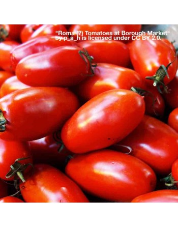 Amish Paste, Gigantic Roma Tomato, Organic, Bush Tomato Seeds - [ Seed2Go.ca ] - [Seed Packets] - Tomato Seeds - 