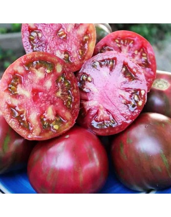 Pink Boar Slicing Tomato Seeds, Organic, North American - [ Shop Canadian Seeds Online ]  - Tomato Seeds - 