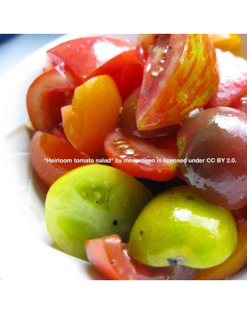 Rainbow Cherry Tomato Seeds Mix, Red, Green, Yellow, Orange, Purple, Chocolate - [ Shop Canadian Seeds Online ]  - Grape & Cherr