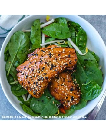 Imperial Star Oriental Asian Spinach - [ Seed2Go - Canada ] - VG-IMPS - Spinach