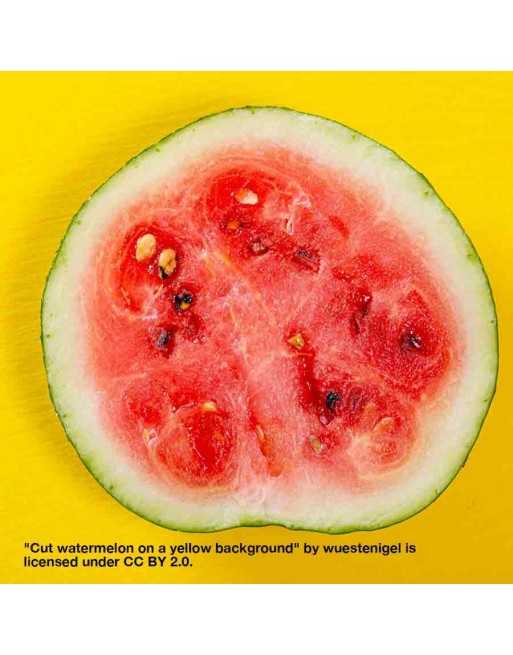 Yellow Faerie Watermelons, Hybrid, AAS Winner Seeds - [ Seed2Go.ca ] - [Seed Packets] - Watermelon - 