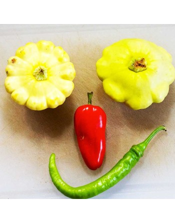 Fresno Pepper, Fruity, Spicy, Tropical North America  Pepper Seeds - [ Shop Canadian Seeds Online ]  - Pepper Seeds - 