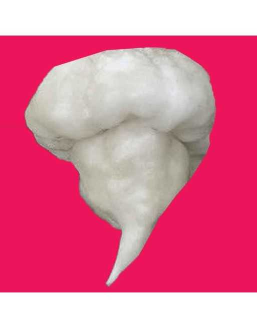 White Carolina Reaper, Super Hot Pepper,  Pepper Seeds - [ Shop Canadian Seeds Online ]  - Pepper Seeds - 