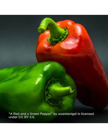 Round Pimento, Spanish, Sweet Pepper, Spain, Stuffing Pepper, Pepper Seeds - [ Shop Canadian Seeds Online ]  - Pepper Seeds - 