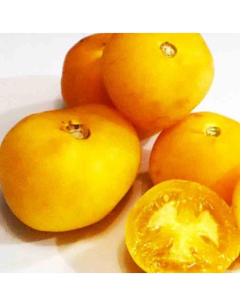 Garden Peach Tomato, South American, Peru - [ Seed2Go.ca ] - [Seed Packets] - Tomato Seeds - 