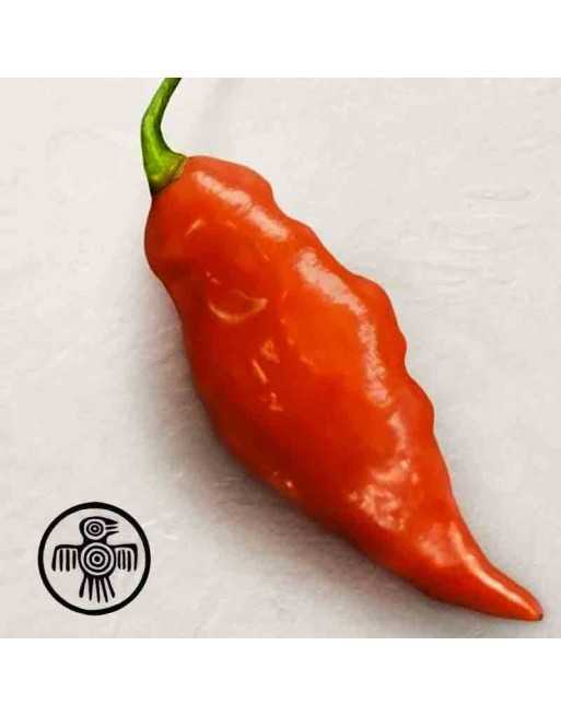 Mayan Red Habanero Pepper, Hot Pepper, Maya city of Uxmal,  Pepper Seeds - [ Shop Canadian Seeds Online ]  - Pepper Seeds - 