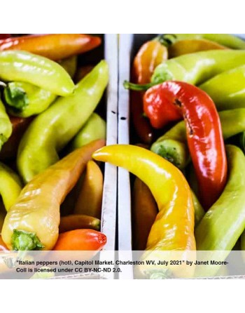 Hot Friariello Pepper of Napoli,  Peperone Friariello, Italian Frying Pepper, Naples Italy Pepper Seeds - [ Seed2Go.ca ] - [Seed