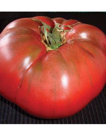 Black Krim Heirloom Tomato Seeds, Organic, Russian - [ Shop Canadian Seeds Online ]  - Tomato Seeds - 