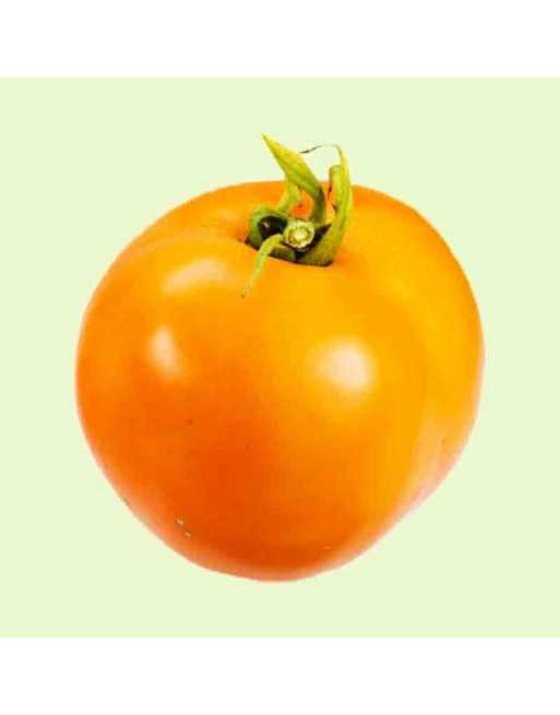 Orange Blossom Tomato, Slicing Tomato, Hybrid, Organic