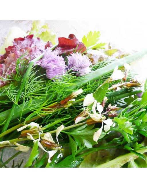 Culinary Herb Mix of Chives, Oregano and Lemon Basil - [ Seed2Go Canada ] - OC1-CHM - Herb Seeds