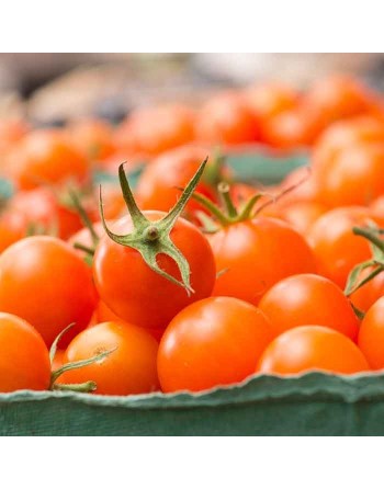 Strawberry Sweet Cherry Tomato Seeds, Red Cherry Tomato, German - [ Seed2Go.ca ] - [Seed Packets] - Grape & Cherry Tomatoes - 