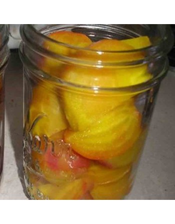 Touchstone Gold Beets, Improved Golden Type, Beet Seeds - [ Seed2Go.ca ] - [Seed Packets] - Beet - 