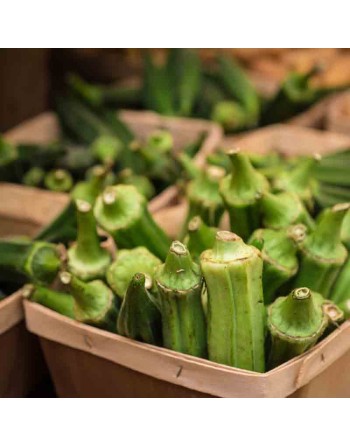 Okra Jambalaya, Hybrid Okra Seed - [ Shop Canadian Seeds Online ]  - Okra - 