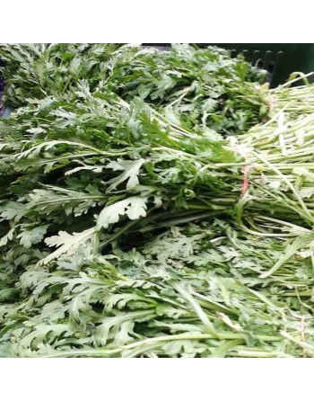 Tung Ho Chrysanthemum Coronarium Asian Greens, Japanese, Sukiyaki/Shabu-Shabu, 春菊のナムル - [ Shop Canadian Seeds Online ]  - Mustar