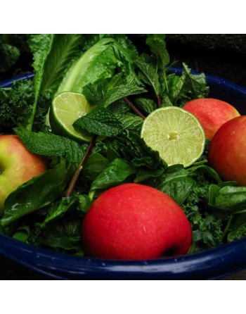 Apple Romaine Leaf, Cut Again Type, Romaine Seeds - [ Shop Canadian Seeds Online ]  - Lettuce - 