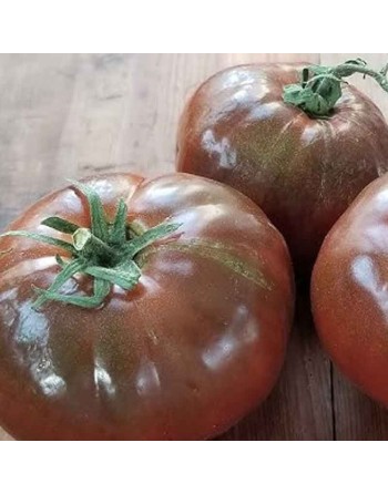 Paul Robeson Tomato, Bush Tomato, Siberia - [ Seed2Go.ca ] - [Seed Packets] - Tomato Seeds - 