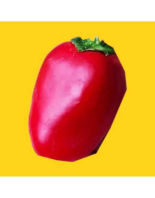 Naso di Cane, Calabrian Dog Nose, Hot Pepper, Italy  Pepper Seeds - [ Shop Canadian Seeds Online ]  - Pepper Seeds - 