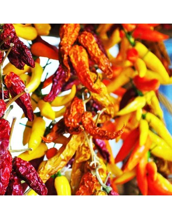 Mild To Hot Pepper Mix, Anaheim, Poblano, Santa Fe, Cayenne, Jalepeno, Serrano, Tabasco Pepper Seeds - [ Shop Canadian Seeds Onl