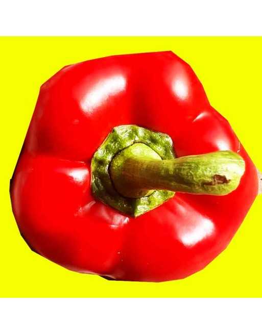 Sweet Romanian Peppers, Pickling, Gogosari Romanian Heirloom Pepper Seeds - [ Seed2Go.ca ] - [Seed Packets] - Pepper Seeds
