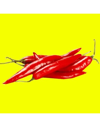 Piri-Piri Pepper Chili, African Hot Pepper, Portuguese Cuisine, Pepper Seeds - [ Shop Canadian Seeds Online ]  - Pepper Seeds - 