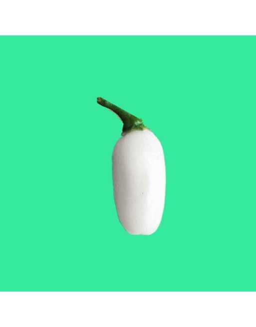 Habanero White Peruvian Lightning Pepper Seeds - [ Shop Canadian Seeds Online ]  - Pepper Seeds - 