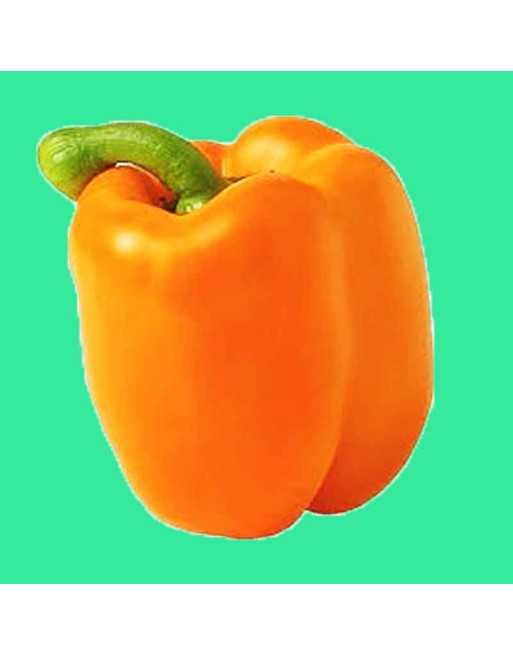 Orange King, Bell Pepper, Sweet Pepper Seeds - [ Seed2Go.ca ] - [Seed Packets] - Pepper Seeds - 