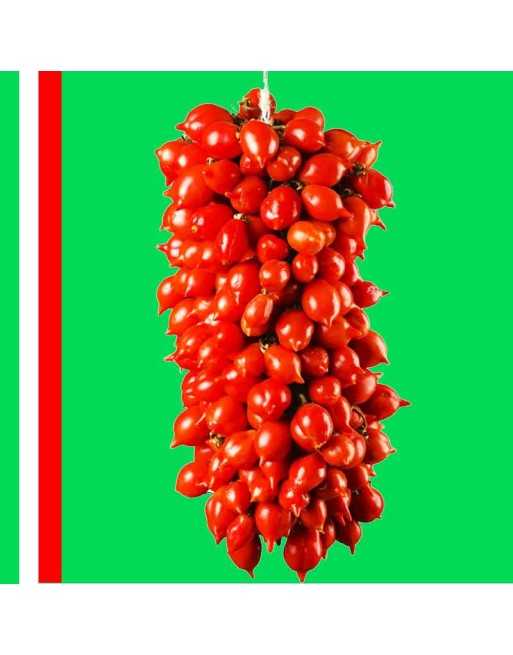 Piennolo del Vesuvio Paste Tomato, "Nonno's Tomato", Paste Tomato, Organic, San Marzano Alternative, Saucer, Italy - [ Seed2Go.c