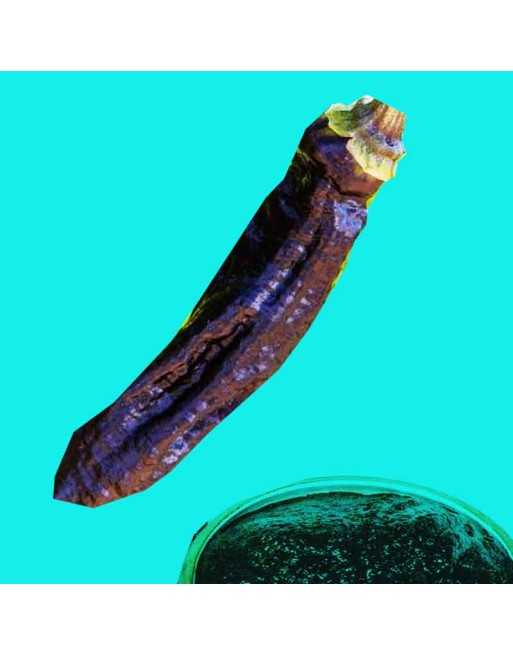 Aji Brown, Aji Pansa Lima Pepper, Peruvian Mild/Hot Sauce, Peru, Pepper Seeds - [ Shop Canadian Seeds Online ]  - Pepper Seeds -