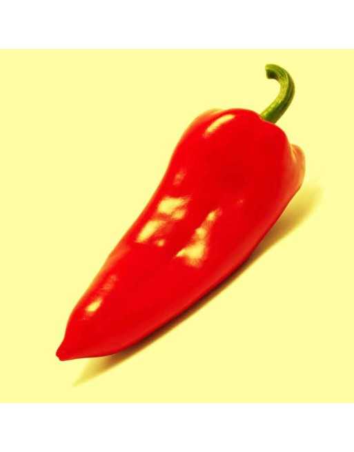 Adana Kebab Kapia Paprika Pepper, Sweet Pepper Seeds, Turkey - [ Shop Canadian Seeds Online ]  - Pepper Seeds - 