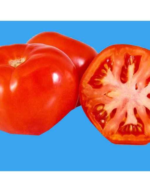 Rutgers Tomato, Heirloom, Globe Shaped, Tomato Seeds - [ Shop Canadian Seeds Online ]  - Tomato Seeds - 