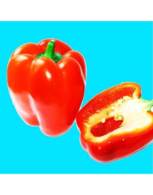 Big Red, Bell Pepper, Sweet Pepper Seeds, South American - [ Shop Canadian Seeds Online ]  - Pepper Seeds - 