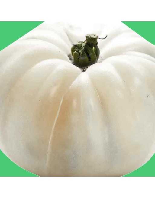 White Queen Beefsteak Tomato, Beef Tomato, North American - [ Seed2Go.ca ] - [Seed Packets] - Tomato Seeds - 