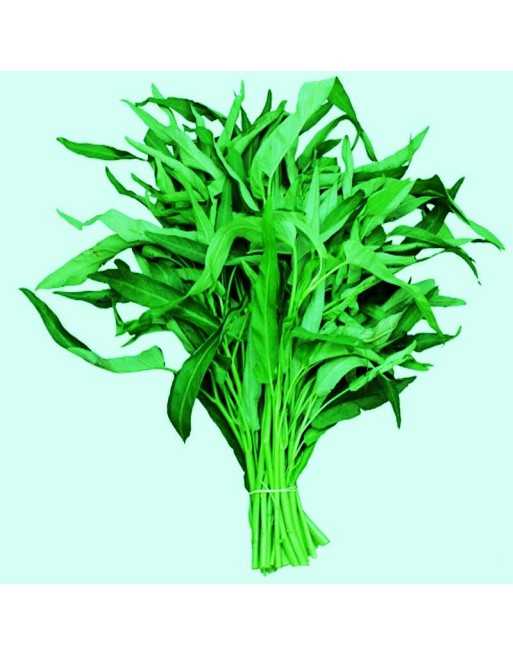 Ipomoea Aquatica Water Spinach L.P.1, Kang Kong, Ong Choy, Swamp Cabbage, River Spinach, Hollow Stem - [ Shop Canadian Seeds Onl