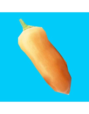 Aji Sugar Rush Peach Pepper, Hot Pepper Seeds - [ Shop Canadian Seeds Online ]  - Pepper Seeds - 