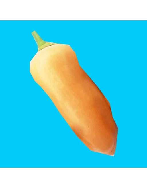 Aji Sugar Rush Peach Pepper, Hot Pepper Seeds - [ Shop Canadian Seeds Online ]  - Pepper Seeds - 