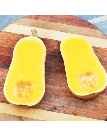 Winter Squash, Waltham Butternut Squash Seeds - [ Seed2Go.ca ] - [Seed Packets] - Squash - 